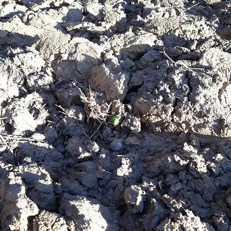 Agroturystyka Na Lipce Jagna I Stanislaw Warchal Biesiadki