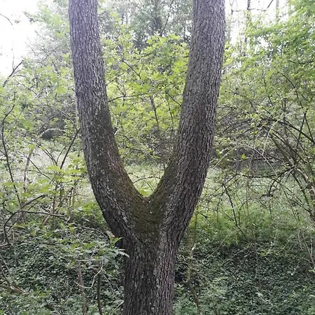 بيت للعطل Agroturystyka Na Lipce Jagna I Stanislaw Warchal *