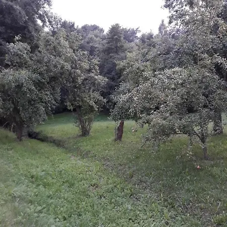 Agroturystyka Na Lipce Jagna I Stanislaw Warchal * Biesiadki