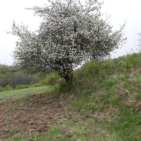 بيت للعطل Agroturystyka Na Lipce Jagna I Stanislaw Warchal Biesiadki